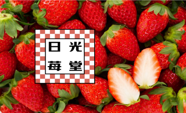 日光